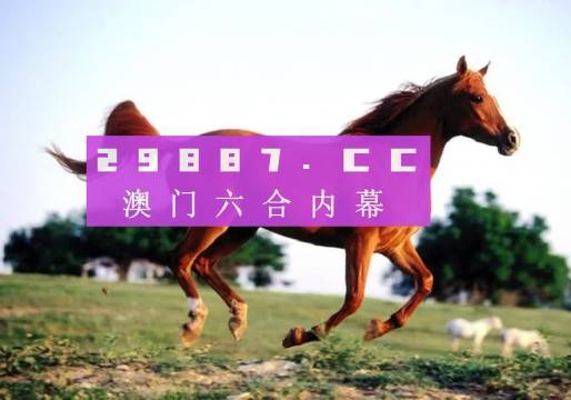 澳门一肖一码一一特一中，实用释义解释与落实