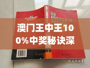 澳门王中王100%正确答案最新章节，揭秘与词语释义解释落实