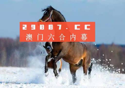 澳门一肖一特一码一中，全面释义与解释落实_l539.58.218