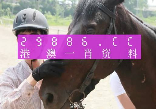 今晚上澳门必中一肖，精选解析与策略指导