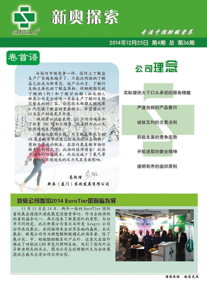 免费新奥精准精选，词语释义、解释与落实的深度解析