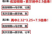 澳门今晚必开一肖的全面释义与解释落实