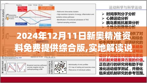 2025正版资料免费公开，词语释义与实际落实的L539.58.218视角