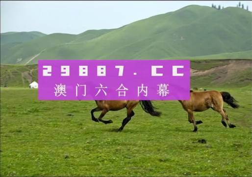 探索新澳门天天彩的奥秘，龙门客栈与精准预测的L539.58.218