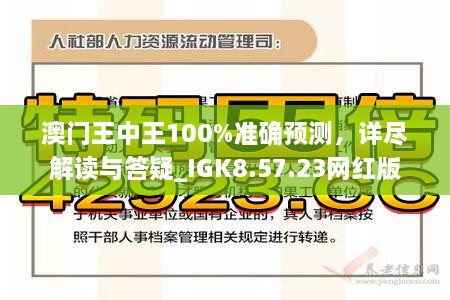 澳门王中王100%正确答案最新章节，揭秘与词语释义