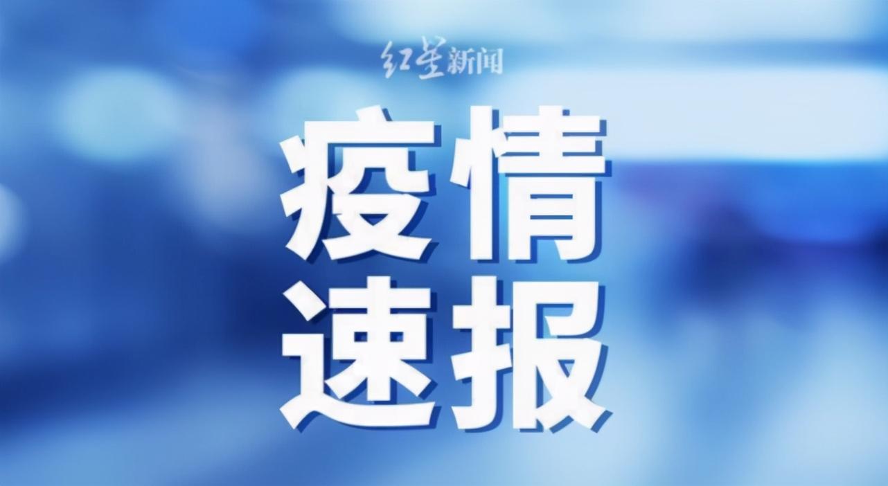 新闻 第185页