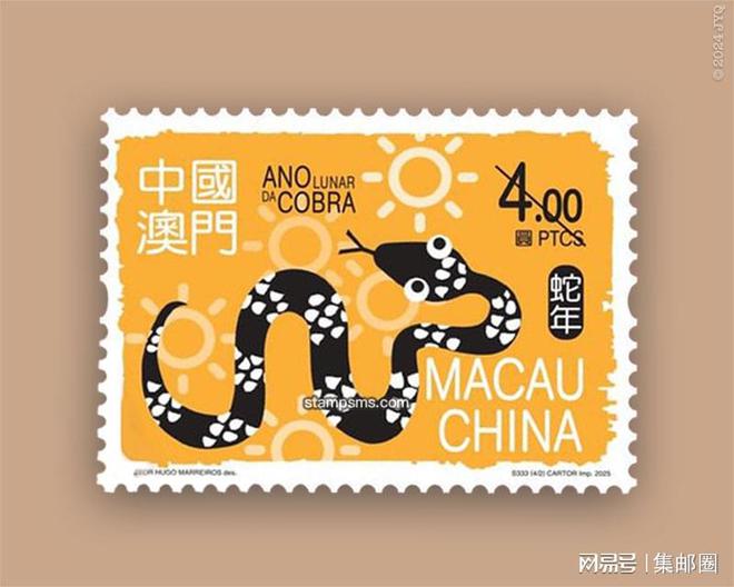 2025澳门精准正版生肖图，词语释义与实际应用解析