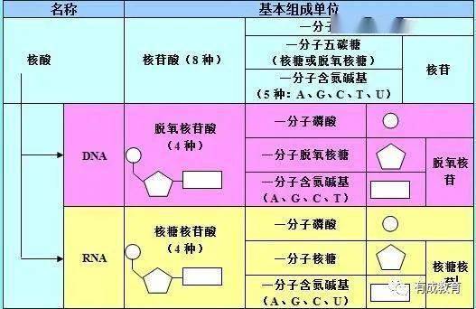 2025全年资料免费大全，解锁知识海洋的钥匙