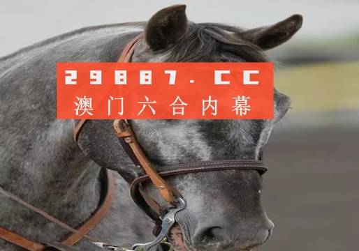 澳门答家婆一肖一码一中一特，实用释义与解释落实