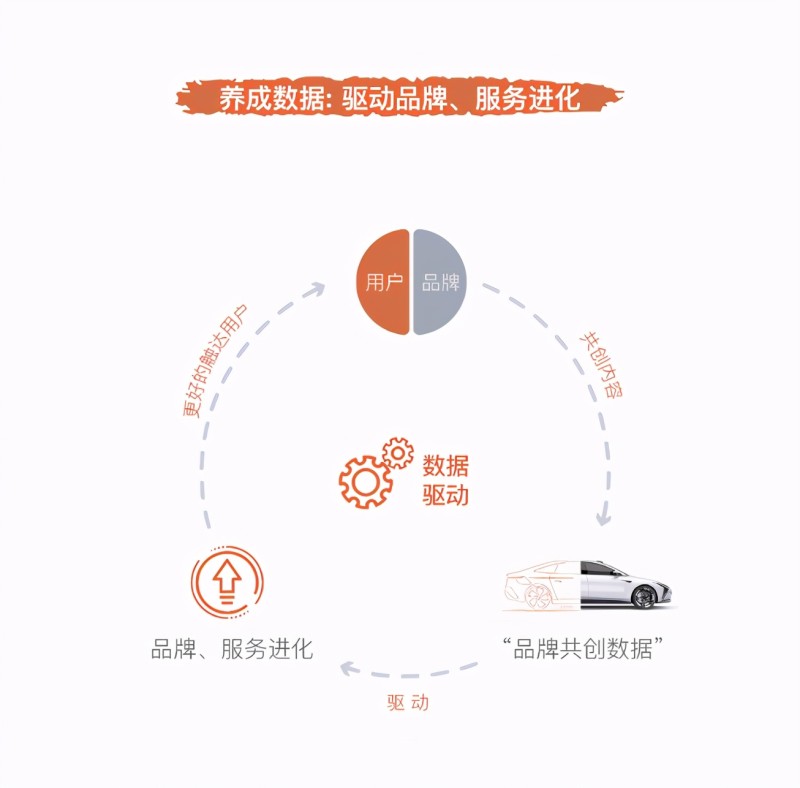 探索一肖一码的奥秘，善用数字资源，提升生活效率