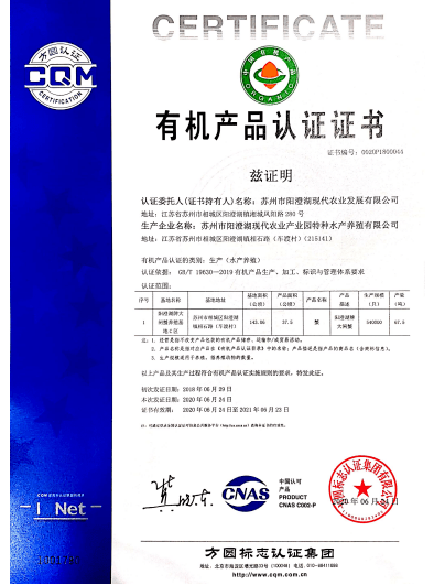 2025澳门特马今晚开奖，大众网与实用释义的深度融合