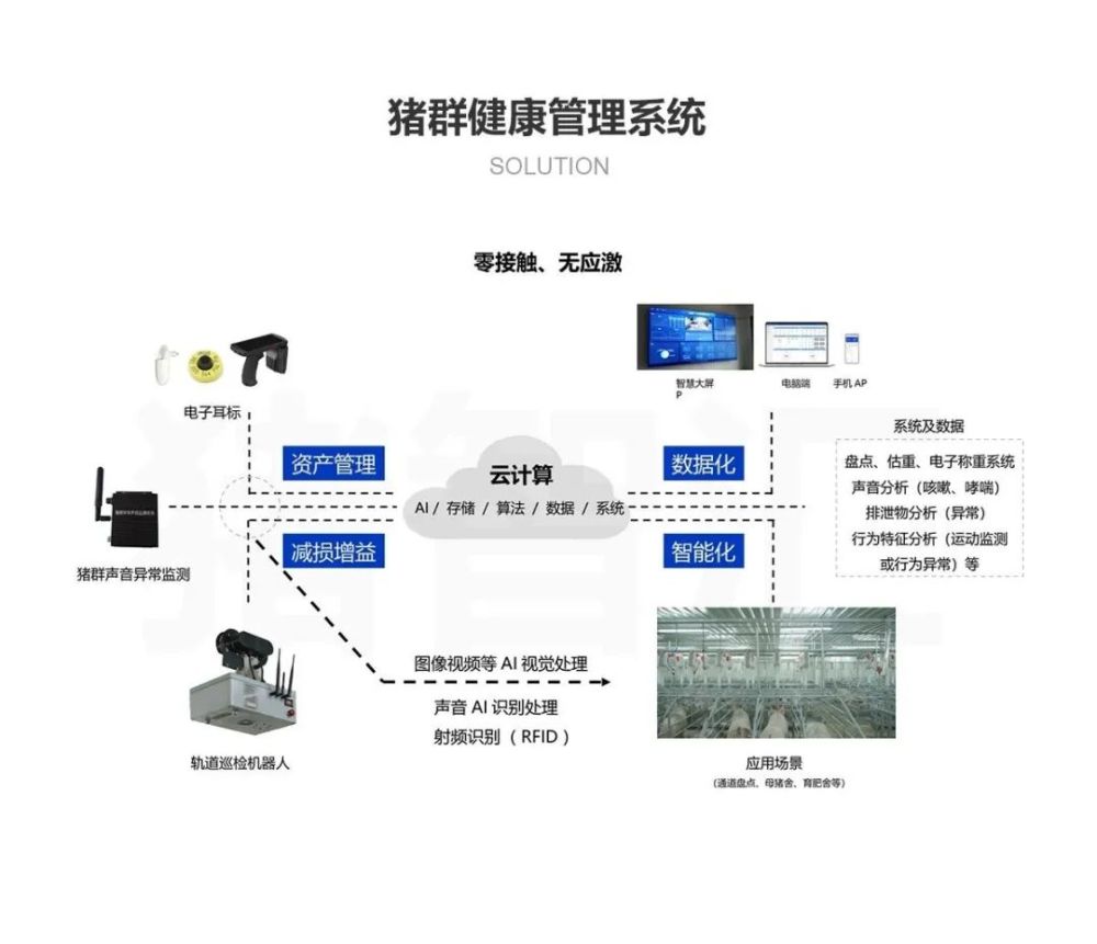 澳门管家婆100%精准，精准解析与落实的智慧