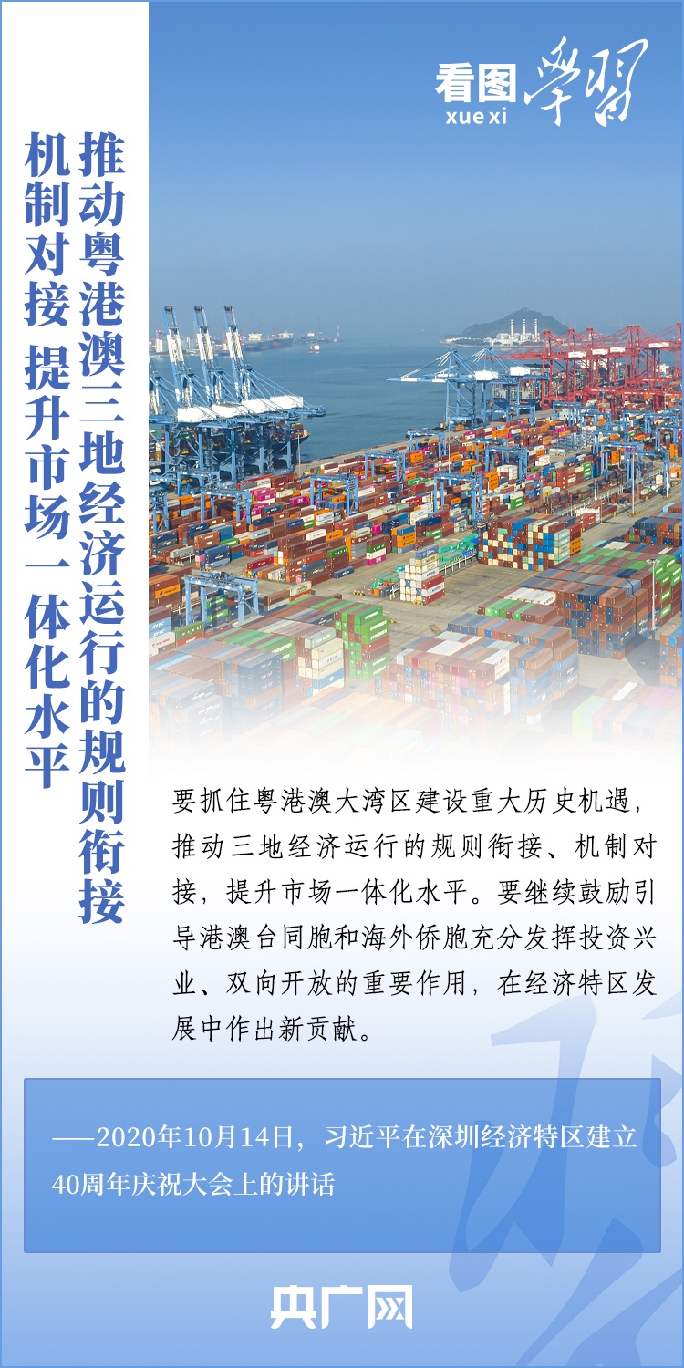 探索港澳两地，资料大全与精选解析