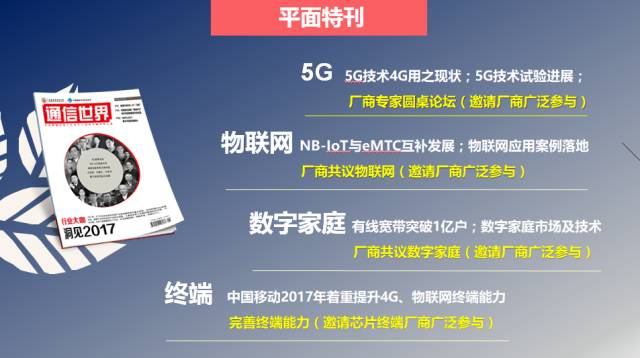 澳门一码一肖一特一中，公开性与精选解析的深度探讨