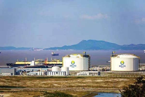 2025新奥最精准免费大全，精选解析与解释落实