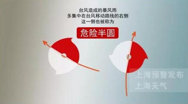 精准四肖预测，全面贯彻解释与落实的实践路径