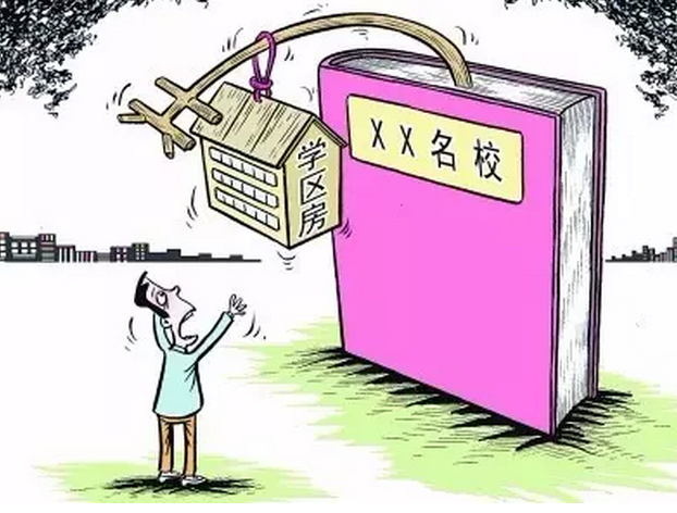 全面贯彻解释落实，新澳天天开奖正版资料的深度解析与影响