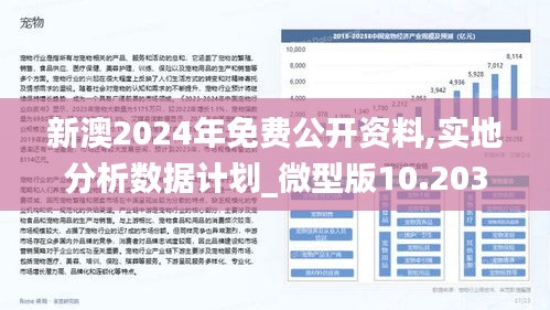 探索新澳2025，精准正版免费资料的实用释义与实施路径