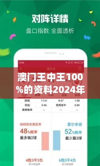 探索新澳门王中王100%期期中的实用释义与解释落实