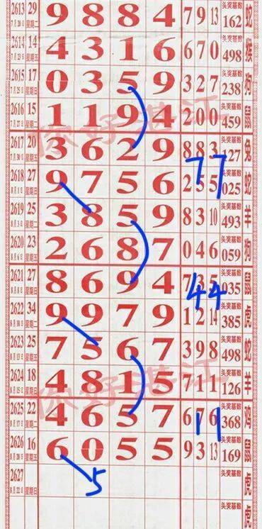 精准预测，最准一肖一码一一子中特7955的全面贯彻与解释落实