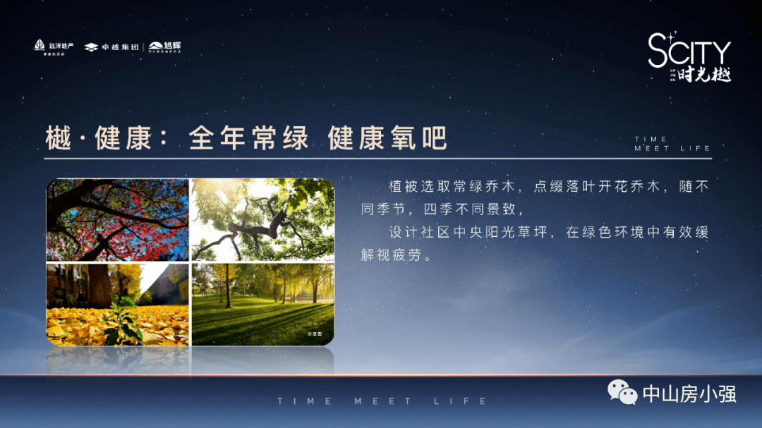 全面解析新澳2025，最新资料大全与L539.58.218的贯彻实施
