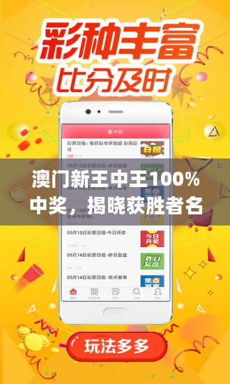 探索新澳门王中王100%期期中的实用释义与落实策略