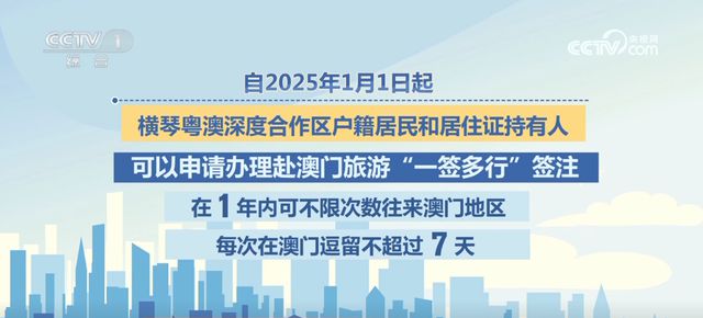 新澳2025年正版资料，全面贯彻与解释落实的深度探索——以L539.58.218为视角