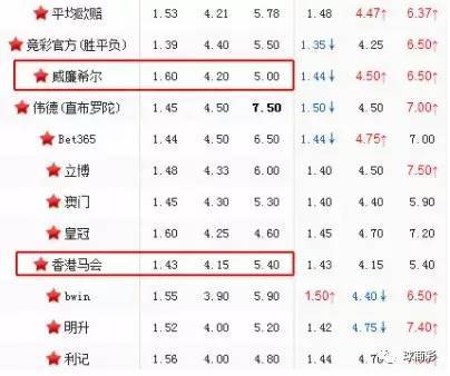 揭秘香港特马资料王中王，全面释义与实战解析