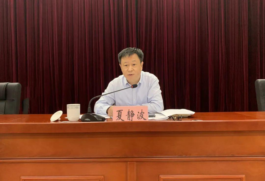 2025年全年资料免费大全，词语释义与解释落实的全面指南