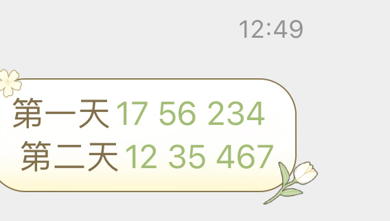 今晚澳门9点35分开什么号码，揭秘l539.58.218的词语释义与解释落实