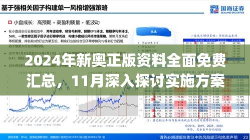 新奥精准免费资料提供，深度解析与细致落实