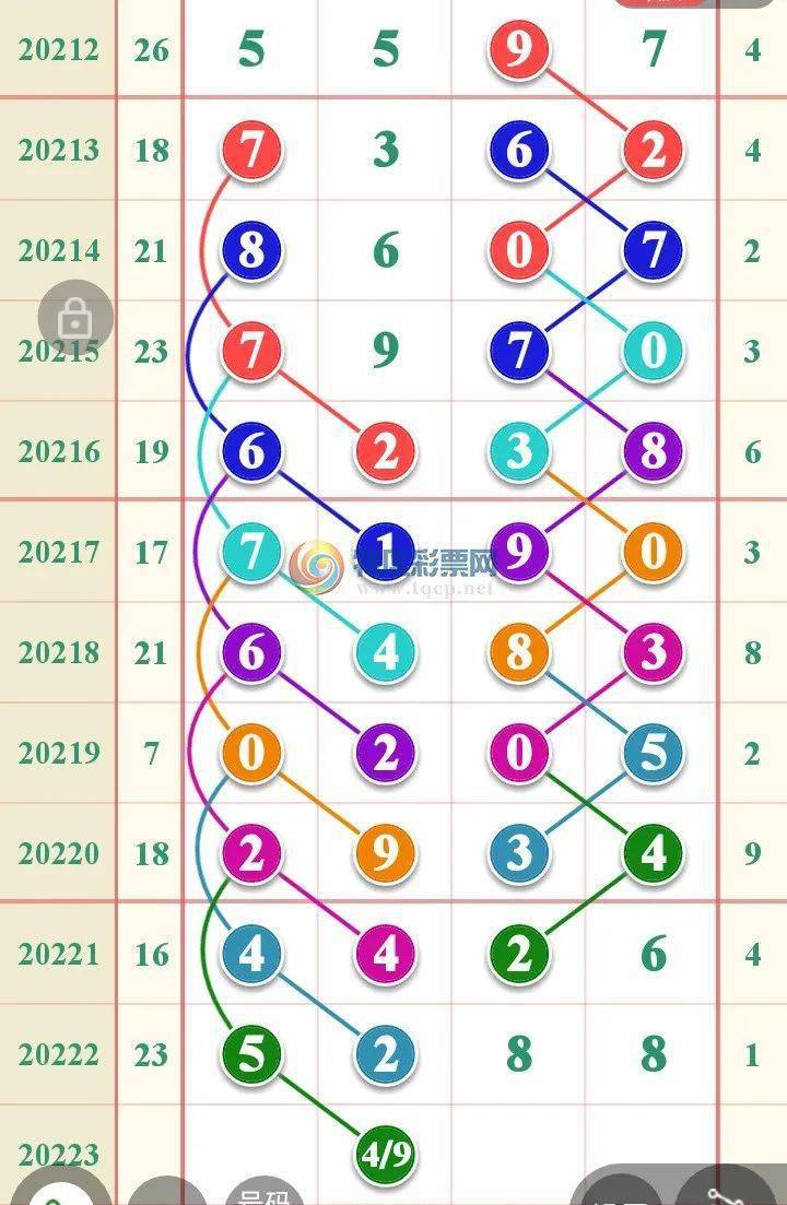 一肖一码必中秘诀，精选解析与落实策略