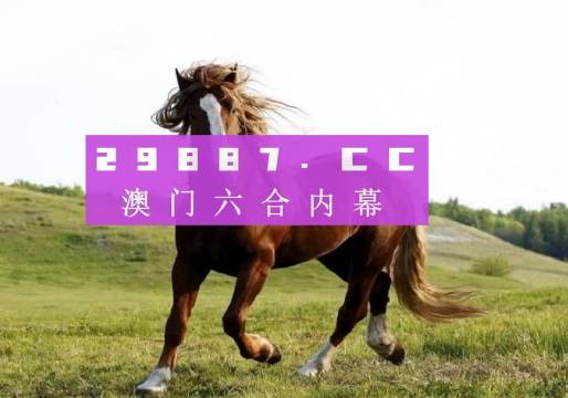 澳门六开奖结果2025年开奖今晚，精选解析与落实策略