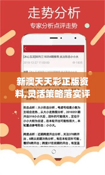 新澳正版资料免费大全，精选解释解析与落实行动