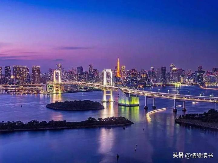澳门新开奖结果2025年展望，精选解析与落实策略