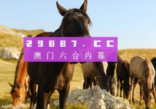 澳门管家婆一肖一码一中一一肖精准资料解析与落实