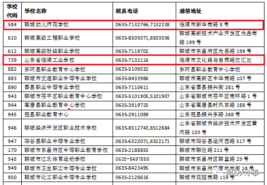 新澳门内部一码精准公开，解析与实施的精选策略