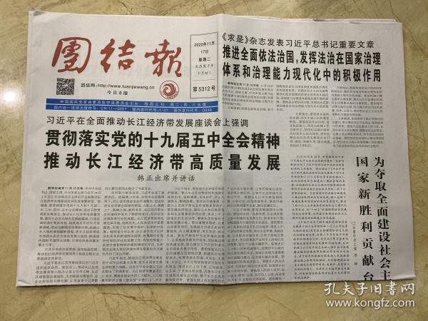 王中王一肖，精选策略解析与全面贯彻落实