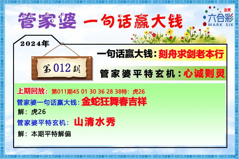 澳门管家婆一肖中特2019年精选解析与落实策略
