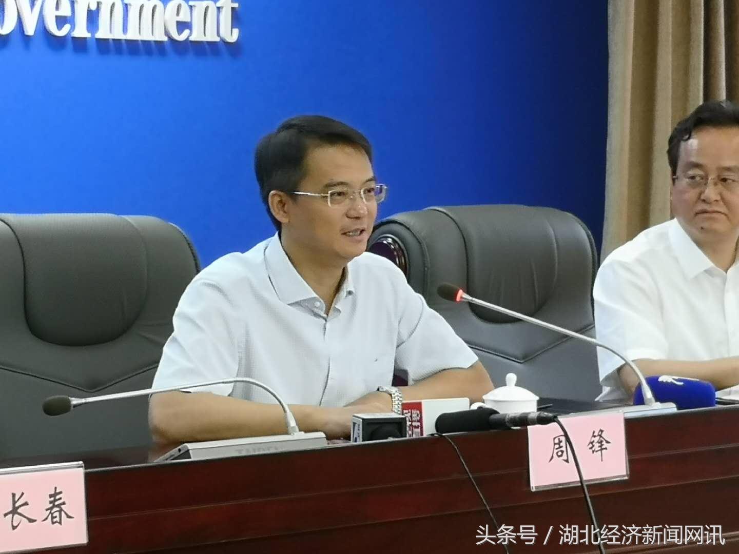 迈向未来，探索2025免费精准资料的深度解析与落实策略