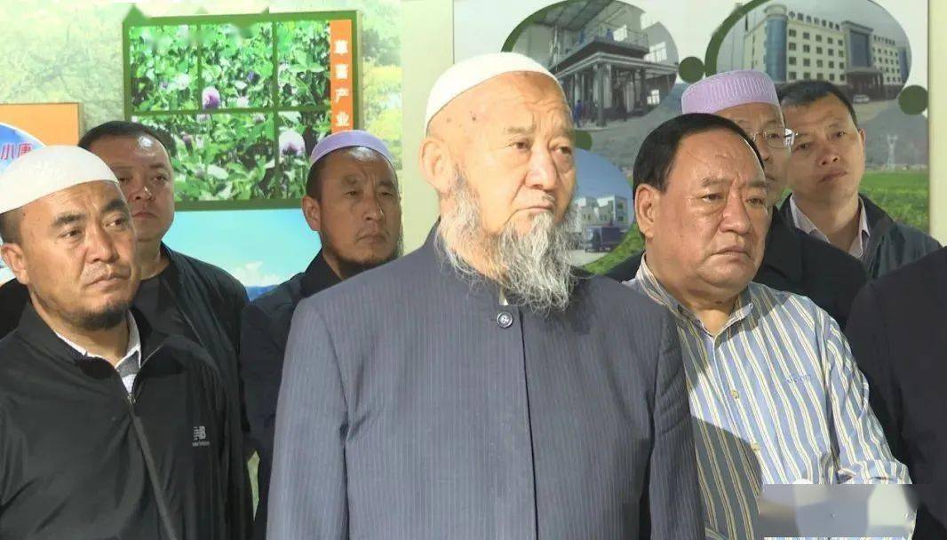 揭秘新奥官方正版资料免费发放背后的故事，精选解析与落实行动