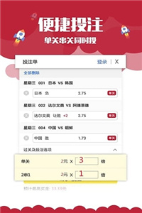 新澳门免费资料大全历史记录，精选解释解析与落实