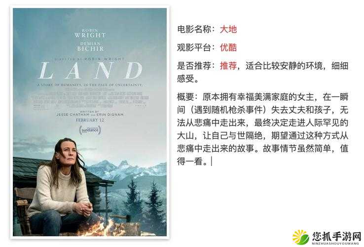 大地电影资源第二页，深度解析与细致落实的艺术魅力