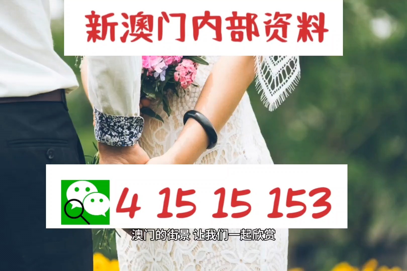 新澳门免费资料最新版，精选解释解析与落实策略探讨