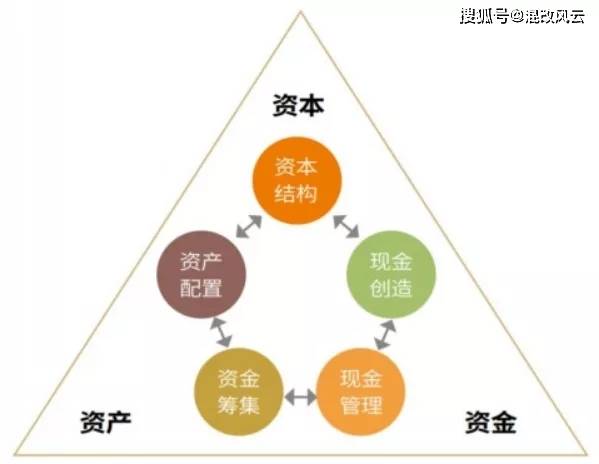 新澳2025年最新版，精选解释解析与落实战略