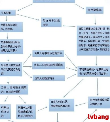 澳门今晚开奖结果详解与解析落实策略