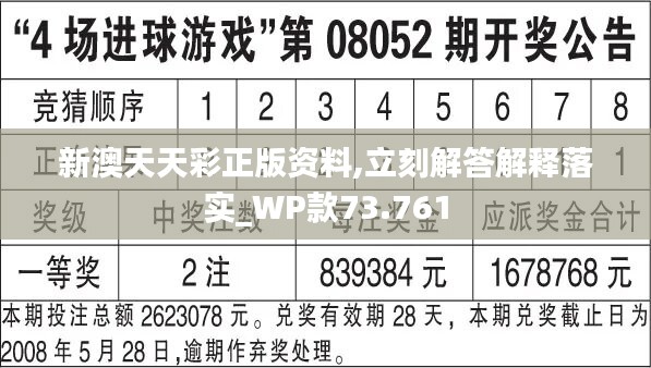 新奥彩正版免费资料查询与精选解析落实详解