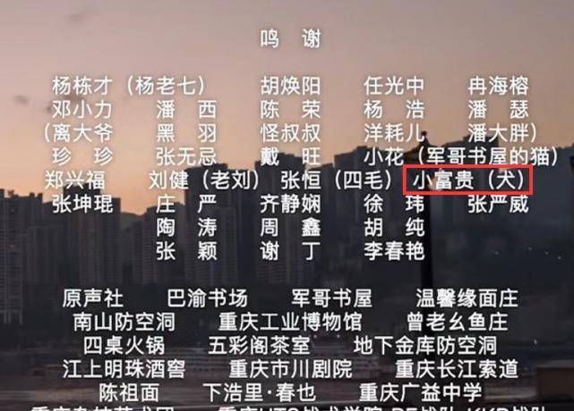 澳门一码一肖精准预测解析与落实探讨