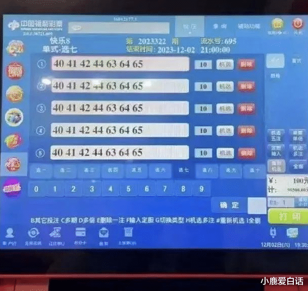 白小姐一肖中期期开奖结果查询与解析，揭秘彩票背后的秘密