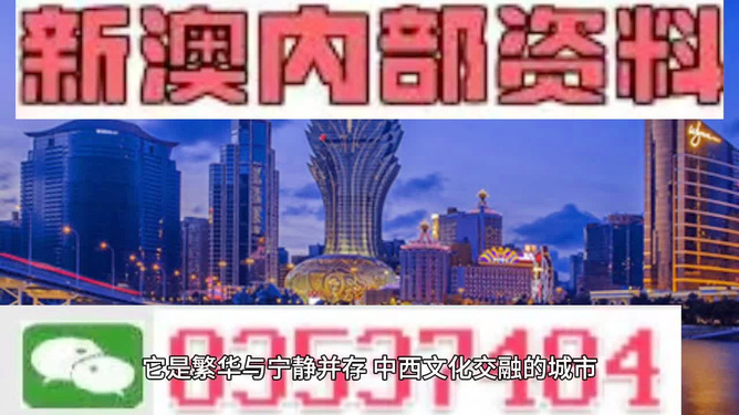 王中王免费资料大全解析与精准落实策略精选